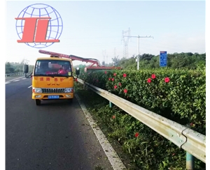 湖南绿化修剪车